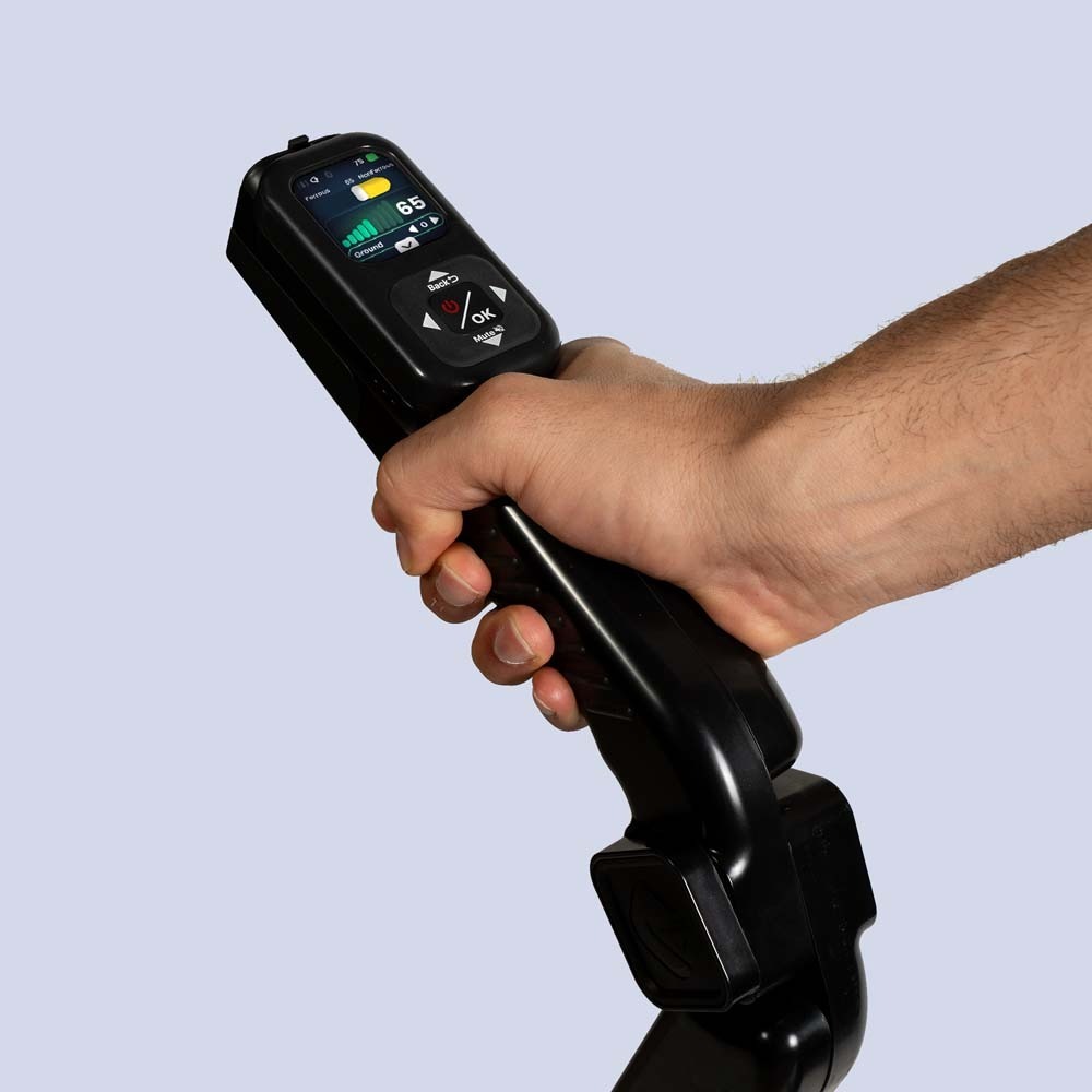 Live Scan Visualization